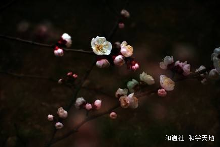 微信图片_20200713104947.png