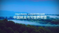 国际森林日｜多项世界第