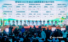 <strong>武汉蔡甸：175亿！</strong>