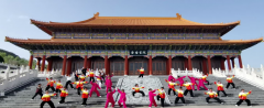太极樱花共韵金台观