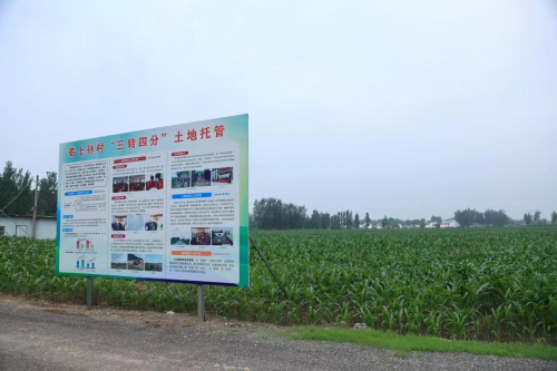 土地增益 农民增收