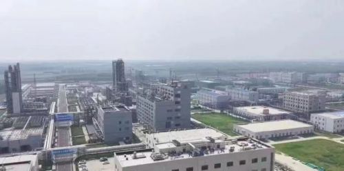 从“一粒花篮”到