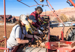 外媒揭美农场工人