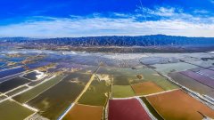 “国字号”项目为