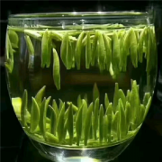 向世界敬1杯绿茶：