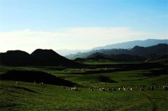 沈卫东：援青十周