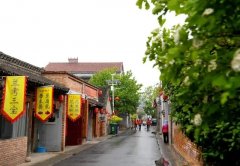 “幸福张庄”，让