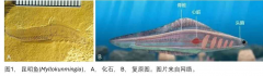 [小科普：随我看地球 –