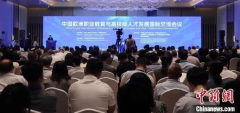 中欧洲职业教育与高技能