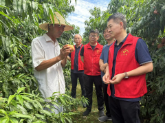 法门寺博物馆进桃园助农
