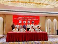 芜湖市侨联以侨为“桥”