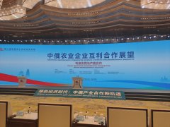 现代“女张骞”吉延伟受