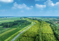 记者观察｜山东省高青县