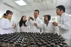 新春走基层|中国石化胜