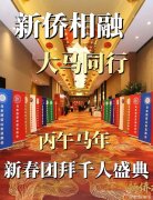 “马中友好，骏马大吉，