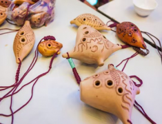 宁夏大学生团队用