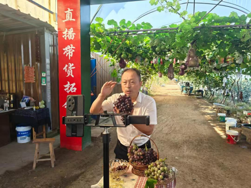为了一口瓜 迪拜客